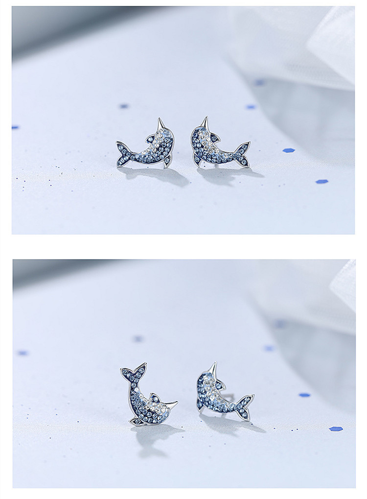 Temperament Dolphin Earnail Student Internet Celebrity Personality Japanese and Korean Trendy Matching Cute Gradient Zircon Earnail Source Wholesale-3